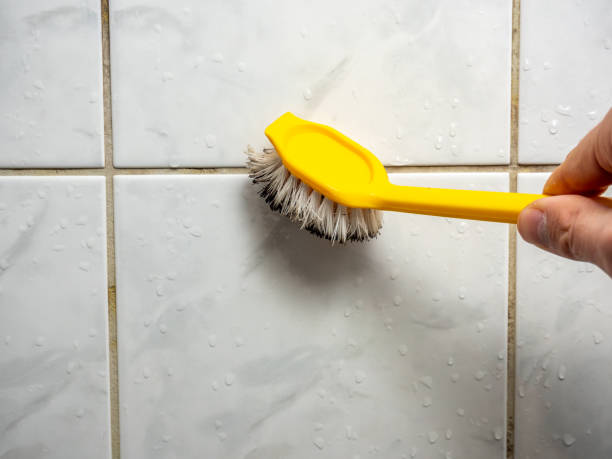 Best Mold Removal Specialists  in Yates Center, KS