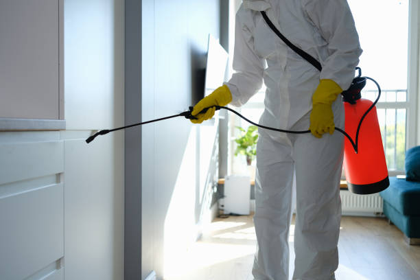 Best Emergency Mold Removal  in Yates Center, KS