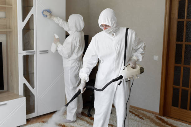 Best Mold Removal Process  in Yates Center, KS