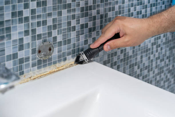 Best Local Mold Removal Service  in Yates Center, KS