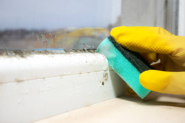 Best Office Mold Removal Services  in Yates Center, KS