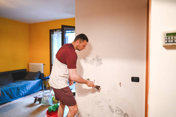 Certified Mold Removal in Yates Center, KS