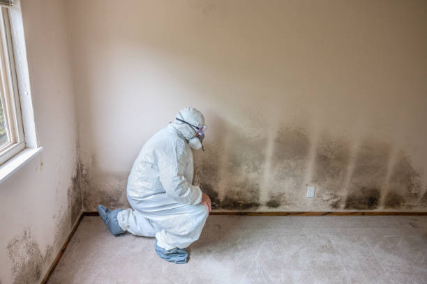 Mold Removal and Inspection in Yates Center, KS