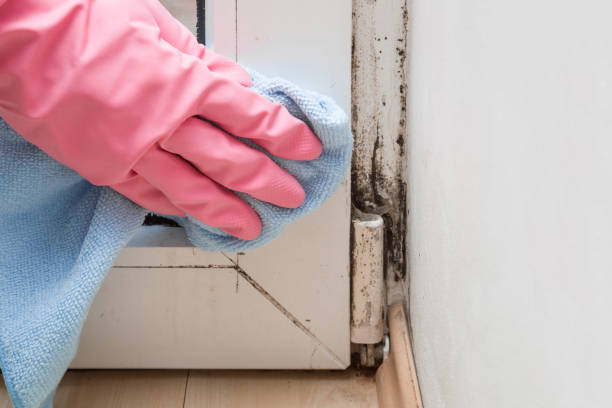 Best Crawl Space Mold Removal  in Yates Center, KS